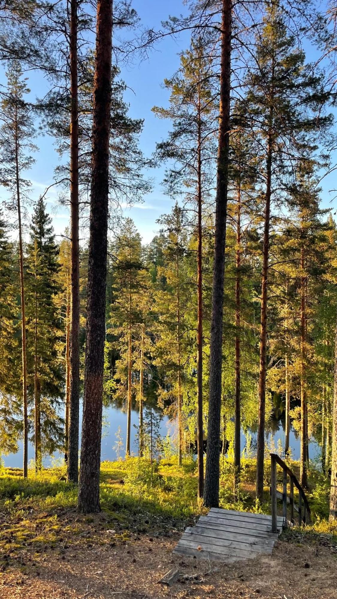 Ahvenlampi Camping Saarijärvi Екстериор снимка