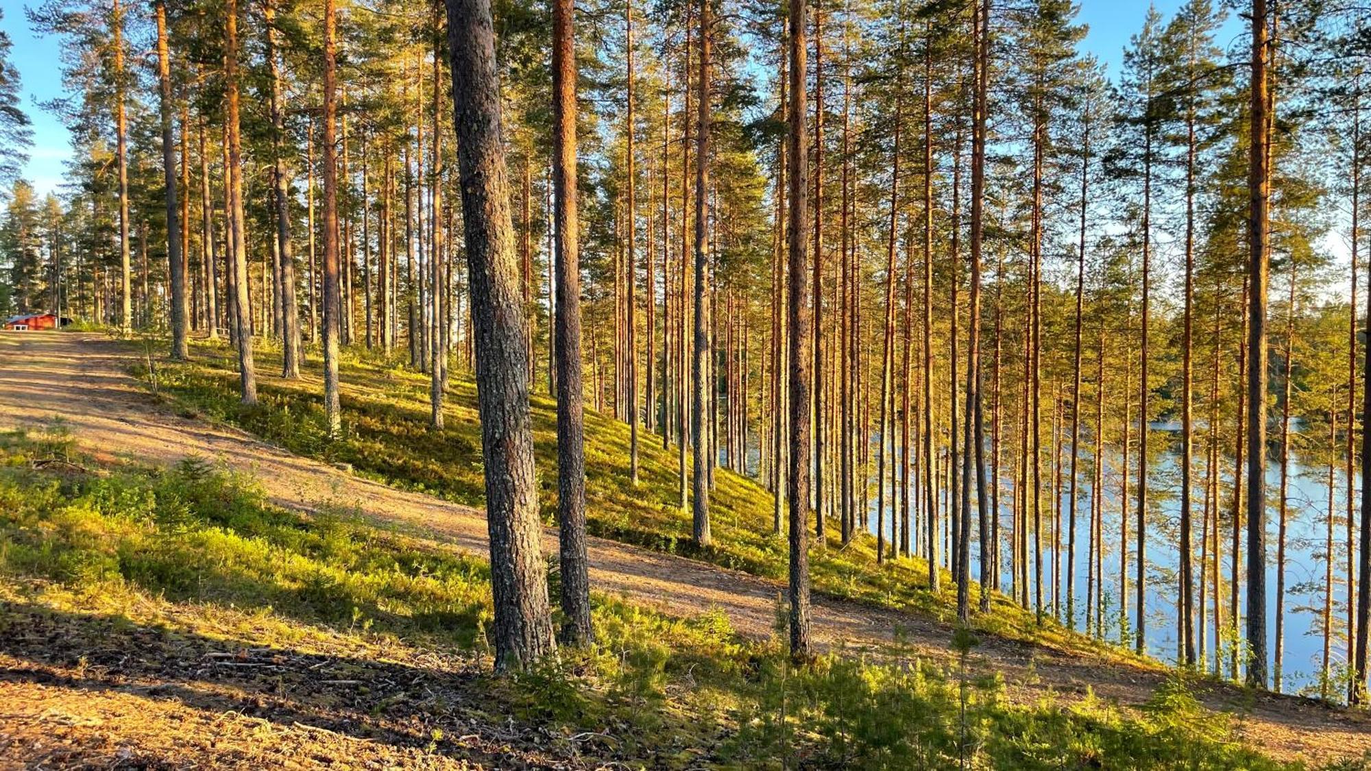 Ahvenlampi Camping Saarijärvi Екстериор снимка