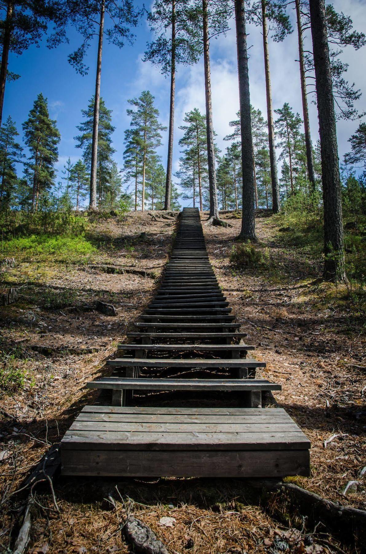 Ahvenlampi Camping Saarijärvi Екстериор снимка